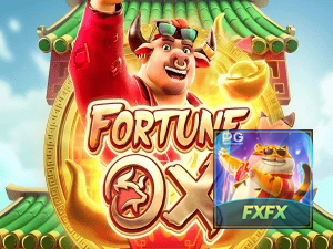FXFX BET login — painel de entrada no app oficial